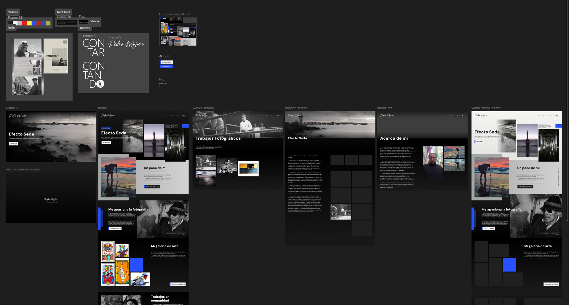 Pedro Mujica's Portfolio